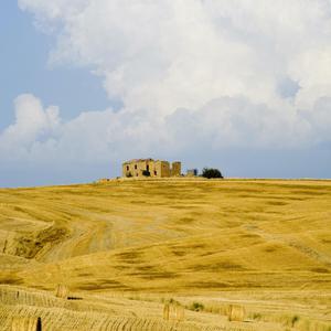 免费看黄视视网视
