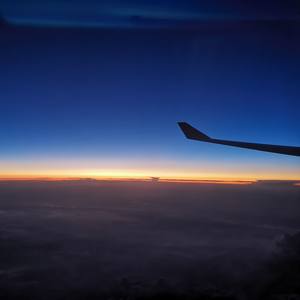 免费看黄视视网视
