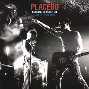 免费看黄视视网视
