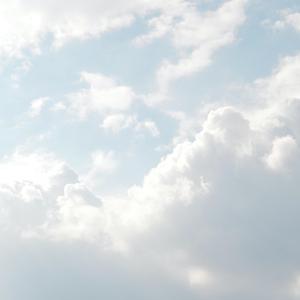 免费看黄视视网视
