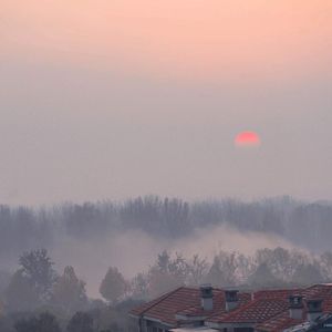 免费看黄视视网视
