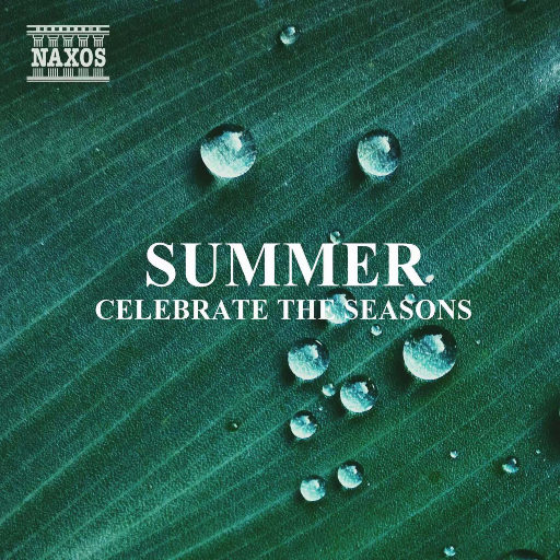 免费看黄视视网视
