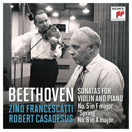 免费看黄视视网视
